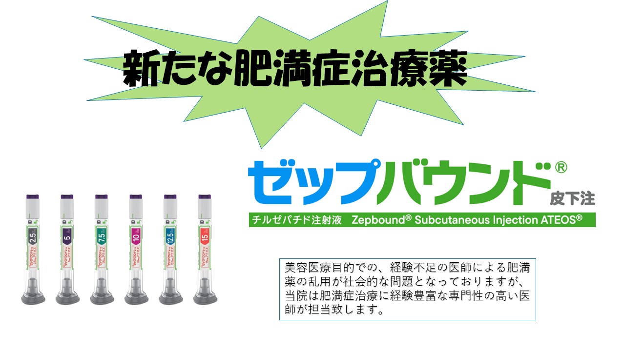ゼップバウンドによる医療ダイエット