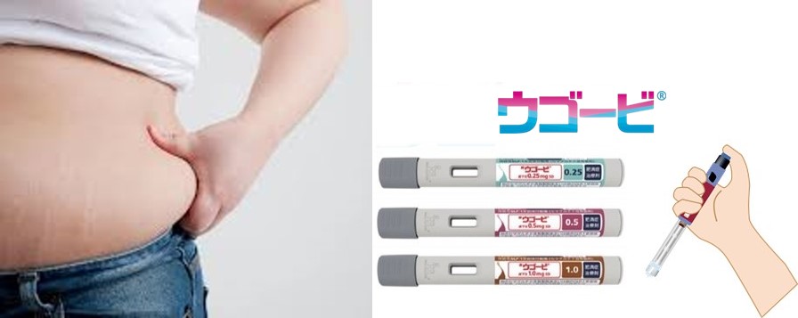ダイエット外来 ウゴービ